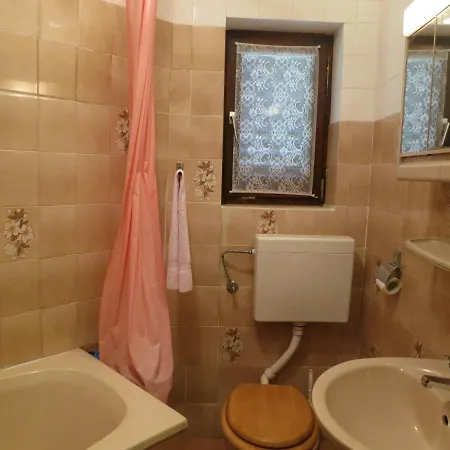 Apartment Branko *